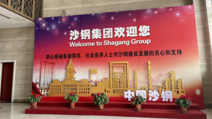 沙钢股份股东会见闻 今年将在上海和深圳持续布局IDC业务，强化电子产品销售